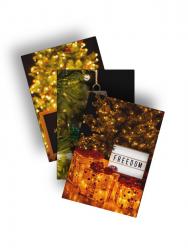 Christmas Card Pack of 12 (4 of each design)